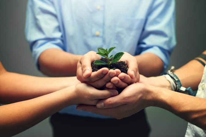 growth-is-nurtured-slowly-2024-04-24-17-47-13-utc